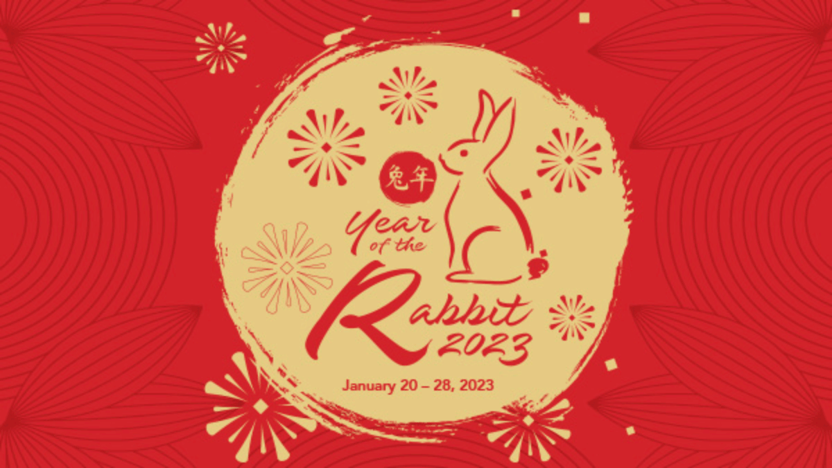 Year rabbit