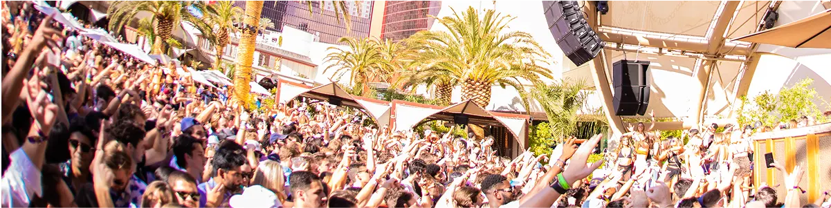 ayu dayclub